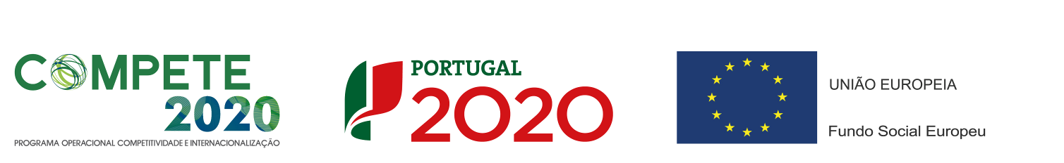 Publicação - Instituto de Gestão do Fundo Social Europeu