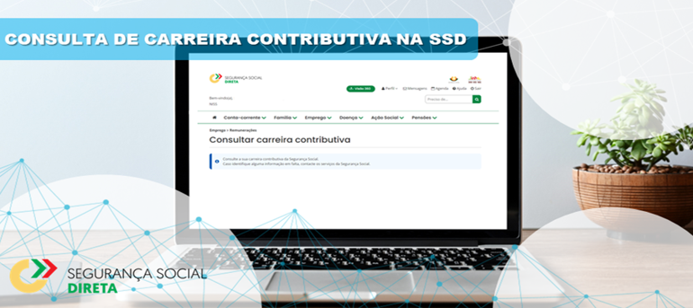 Consulta de Carreira Contributiva