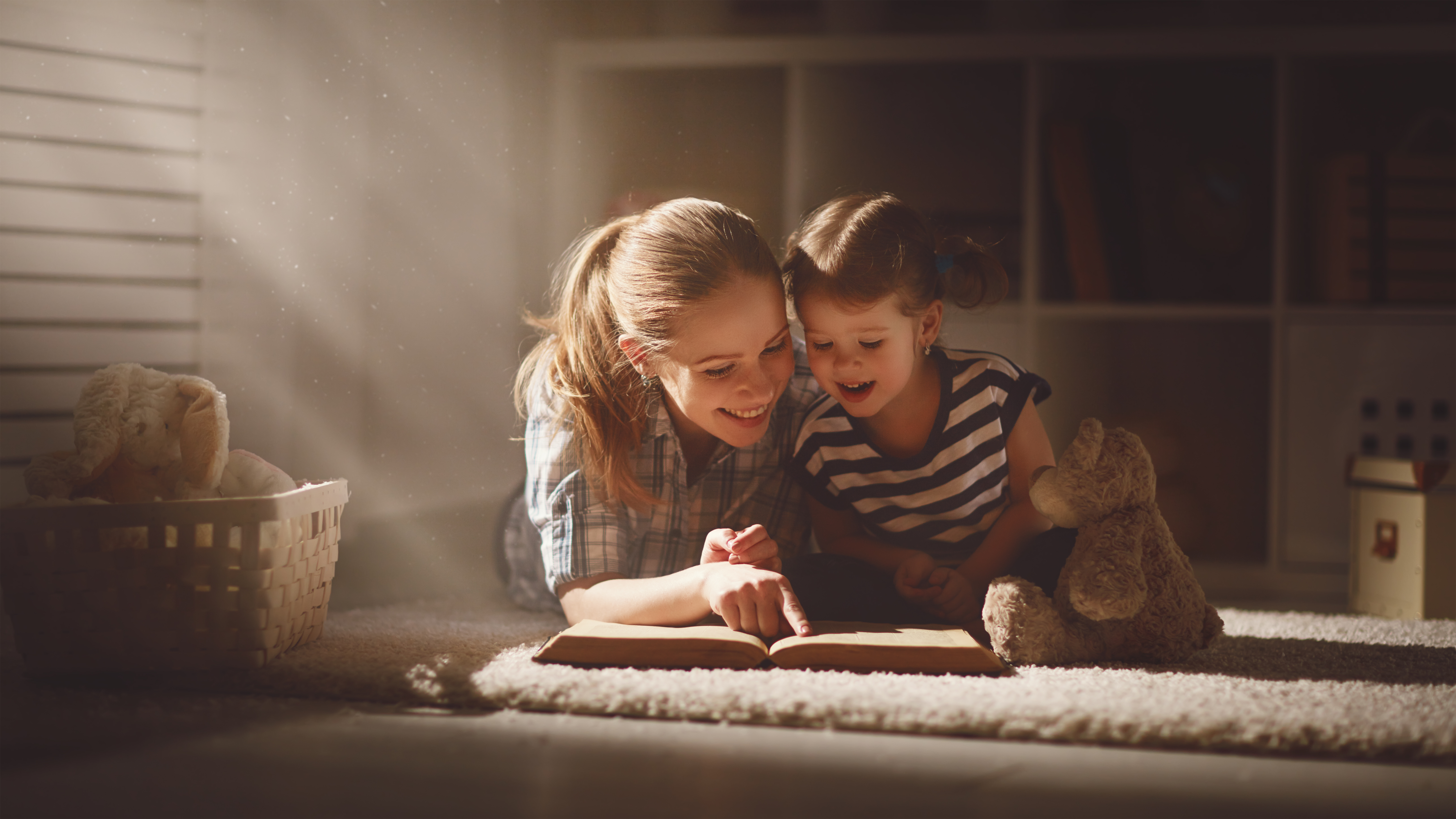 Apoio Excecional à Família e AERT